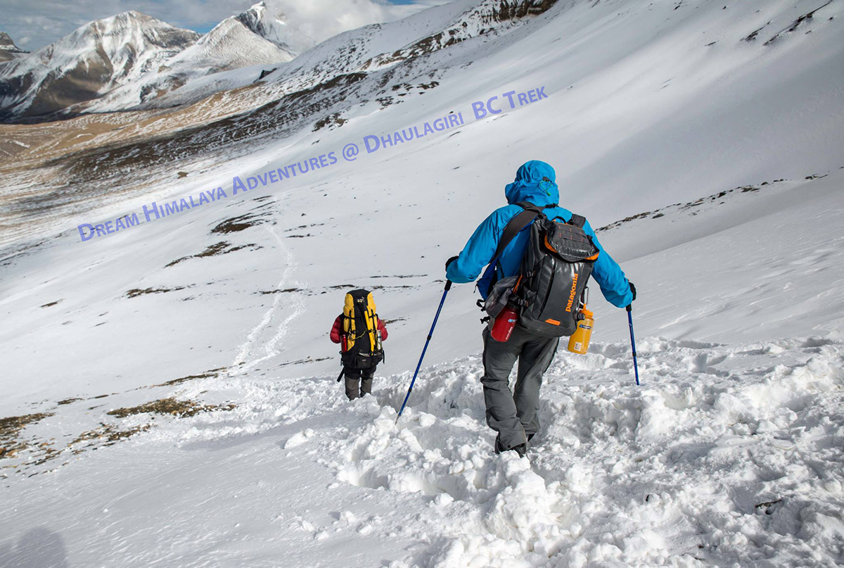 Snowy trekking path Dhaulagiri Trek