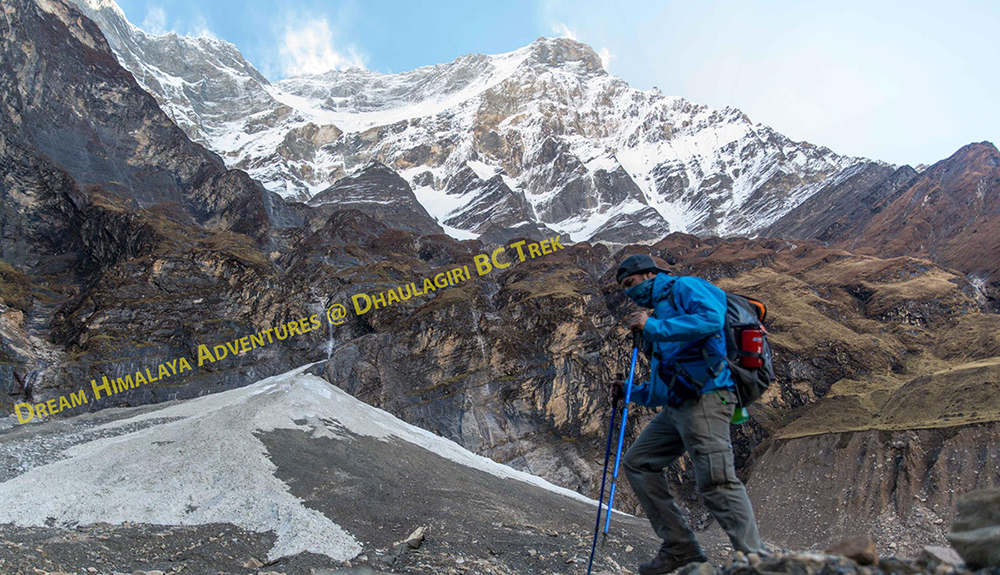 Trekkers in Dhaulagiri Base Camp Trek