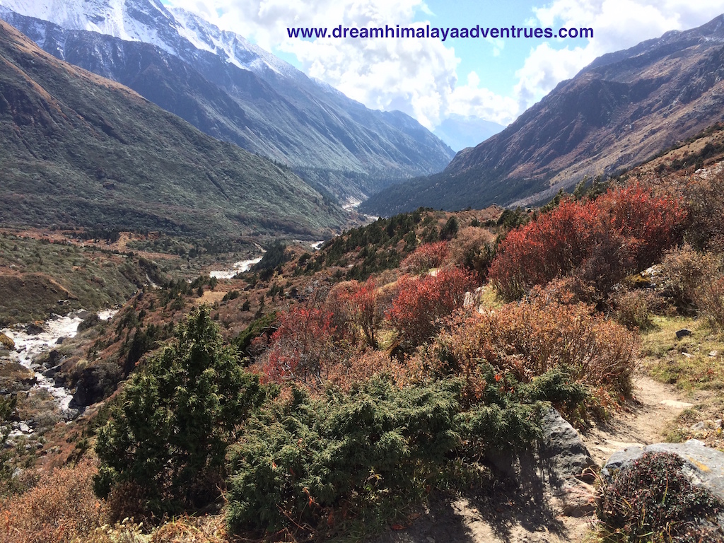 view in Kanchenjunga circuit trek 